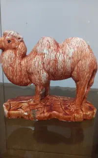 مجسمه شتر ۲۰۰
