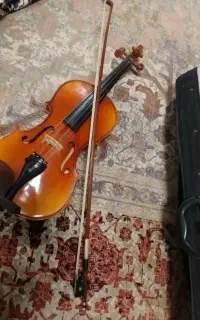 ویولن