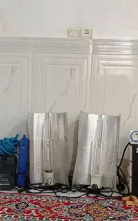 ال‌ای‌دی مخصوص رشد گیاه اورجینال المانی