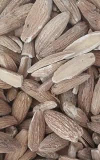 بلوط‌پاک‌شده