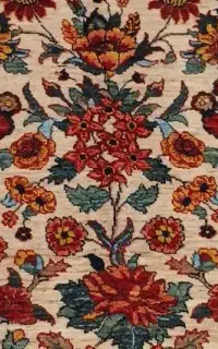 نظافت منزل و مراقبت از سالمند