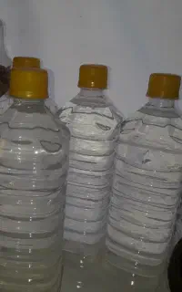 محلول ضد شپش