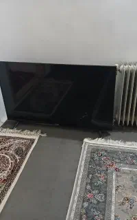 تلوزیون ایکس ویژن