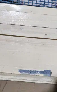 کندو زنبور عسل