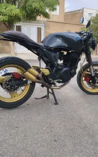 کاستوم 250