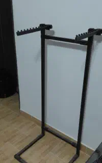 رگال دوقلو
