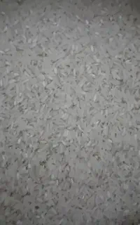 برنج فجر سوزنی درجه 1