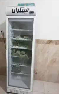 فریزر تک درب