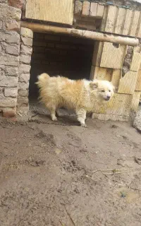 ببی سرابی