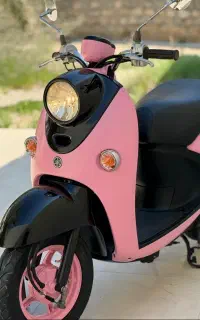 پاکشتی وینو درجه یک