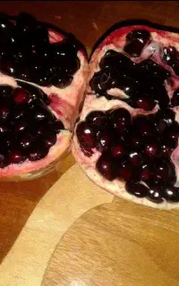 نهال دونه ژله مشکی کلیه نهال های انار گلدانی اماده