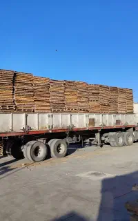 استخدام نیرو آقا پالت ساز