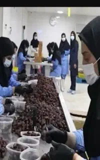 استخدام کارگر