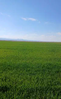 کارگر کشاورزی