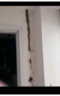 گچکاری ساختمان گچ بری لکه گیری