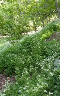 تور ارومیه گردی