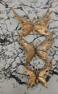 پروانه برنز