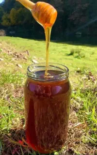 عسل درمانی خالص