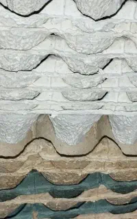 شانه تخم مرغ