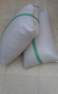 شالی بذری طارم دمسیاه
