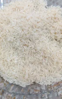 برنج محلی طارم رودبار