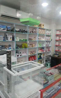 ملزومات پرنده ،ماهی،سگ و گربه