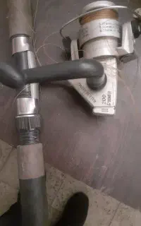 لنسر ایتالیایی