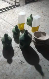 کفتر