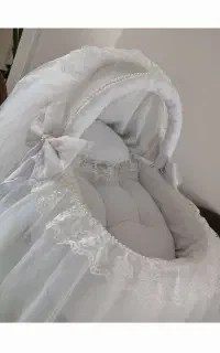کریر پرنسسی