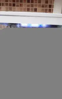 آکواریم در ابعاد ۳۰×۳۲ با تمام امکانات ماهی مجانی