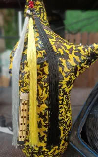 آویز نی انبان