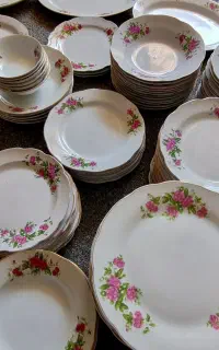 ظروف گلسرخی ۱۲۵ تکه
