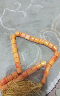 تسبی