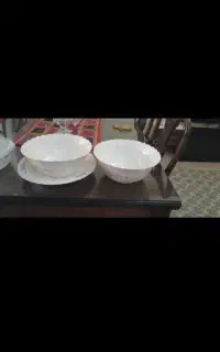 کاسه اش بزرگ و دیس گود ارکوپال ویکتوریا
