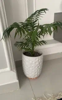 گل و گلدون