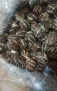 لیمو توپی