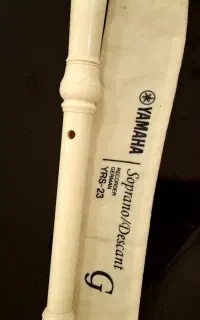 فلوت