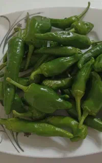 فلفل شیرین