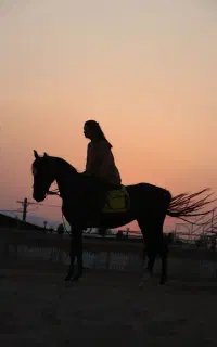 باشگاه سوارکاری فاراسب