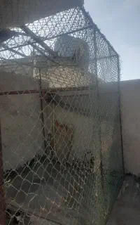قفس برای پرندگان و حیوانات