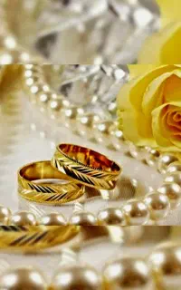 عاقدسید/صیغهنامه/عقدموقت/دفترازدواج/با مهر برجسته