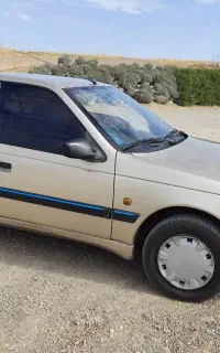 پژو ۴۰۵ تمیز