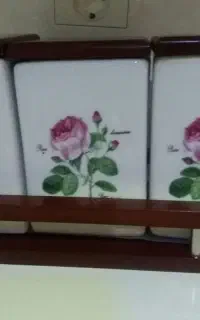سه عدد پاسماوری خارجی با استند