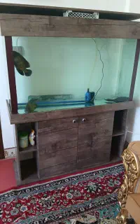 آکواریوم