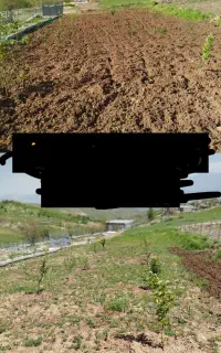 انواع خدمات باغبانی جوانرود و اطراف