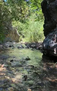 کار در باغچه