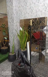 اینه