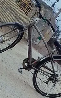 شادگان