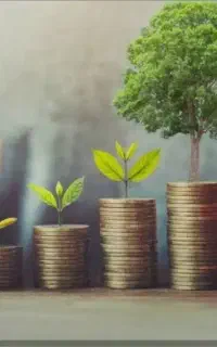 سرمایه گذاری، اشتغال و صادرات