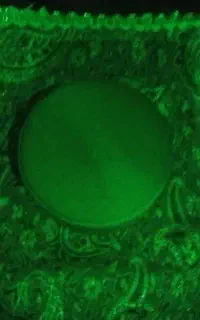 انجام نماز و روزه و ختم قرآن و غیره...به نیت اموات